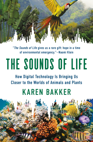صورة الغلاف: The Sounds of Life 9780691240978