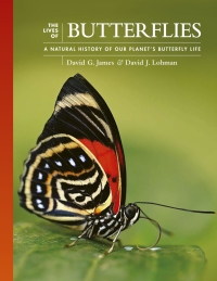 Imagen de portada: The Lives of Butterflies 9780691240565