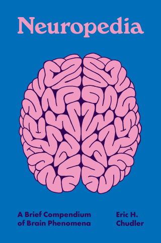 Cover image: Neuropedia 9780691213576