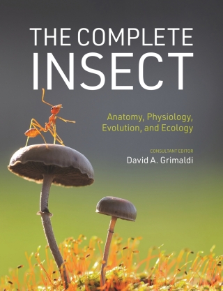 Cover image: The Complete Insect 9780691243108