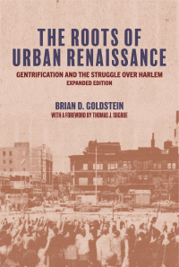 Imagen de portada: The Roots of Urban Renaissance 9780691234755