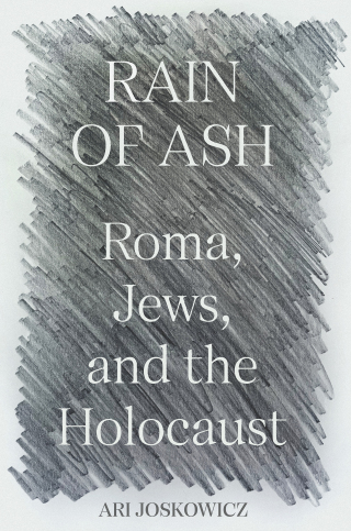 表紙画像: Rain of Ash 9780691244044