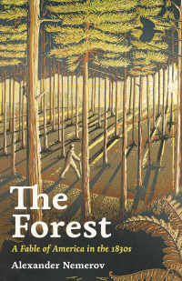 Immagine di copertina: The Forest 9780691244280