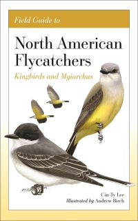 Omslagafbeelding: Field Guide to North American Flycatchers 9780691240640