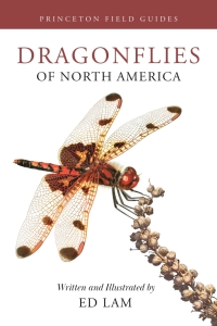 Cover image: Dragonflies of North America 9780691232874