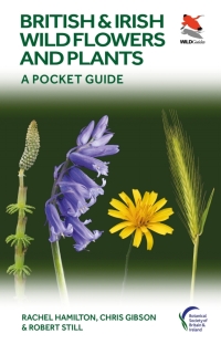 Cover image: British and Irish Wild Flowers and Plants 9780691245409