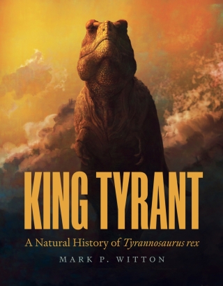 Cover image: King Tyrant 9780691245584