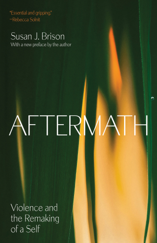Imagen de portada: Aftermath 9780691244679