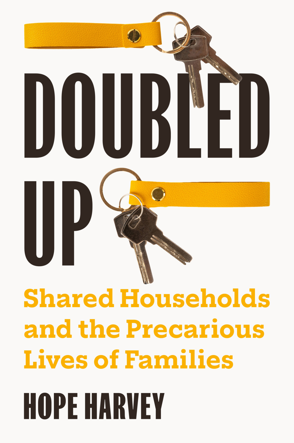Doubled Up Shared Households and the Precarious Lives of Families