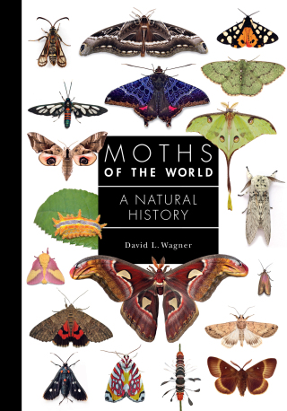 Cover image: Moths of the World 9780691248288