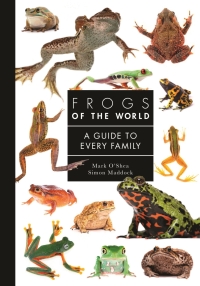 Omslagafbeelding: Frogs of the World 9780691248301