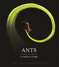 Cover image: Ants 9780691228525