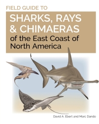 Imagen de portada: Field Guide to Sharks, Rays and Chimaeras of the East Coast of North America 9780691206387