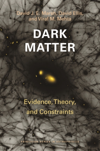 Imagen de portada: Dark Matter 9780691249520