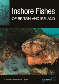 Omslagafbeelding: Inshore Fishes of Britain and Ireland 9780691249018