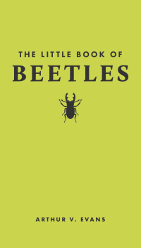 Cover image: The Little Book of Beetles 9780691251776