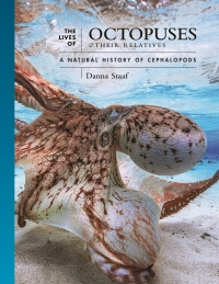 Omslagafbeelding: The Lives of Octopuses and Their Relatives 9780691244303