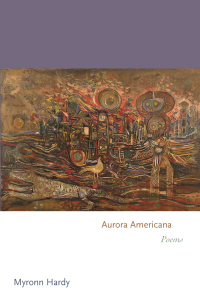 Cover image: Aurora Americana 9780691252537