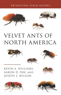 Cover image: Velvet Ants of North America 9780691212043