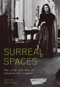 Cover image: Surreal Spaces 9780691254487