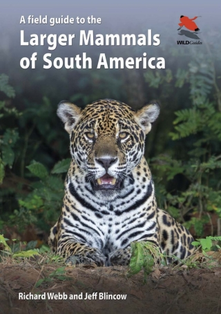 Cover image: A Field Guide to the Larger Mammals of South America 9780691174099