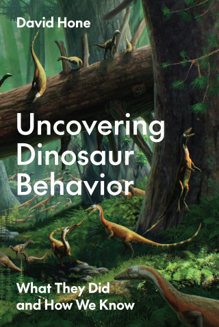 Cover image: Uncovering Dinosaur Behavior 9780691215914