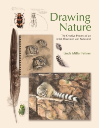 Cover image: Drawing Nature 9780691255385