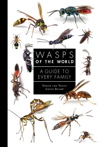 صورة الغلاف: Wasps of the World 9780691238548