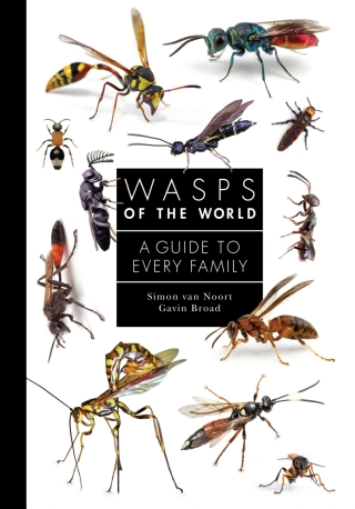 Cover image: Wasps of the World 9780691238548