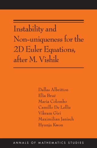 Omslagafbeelding: Instability and Non-uniqueness for the 2D Euler Equations, after M. Vishik 9780691257525