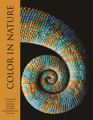 Cover image: Color in Nature 9780691258614
