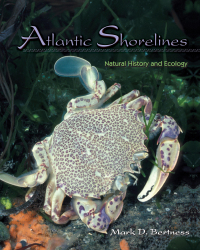 Imagen de portada: Atlantic Shorelines 9780691125541