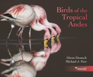 表紙画像: Birds of the Tropical Andes 9780691260686
