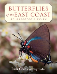 Omslagafbeelding: Butterflies of the East Coast 9780691090559