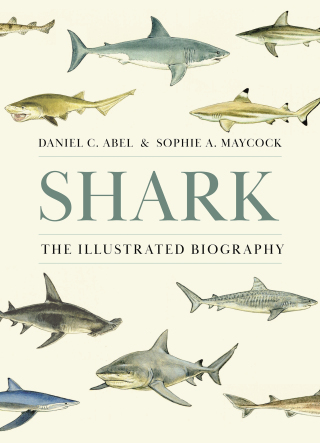 Cover image: Shark 9780691261676