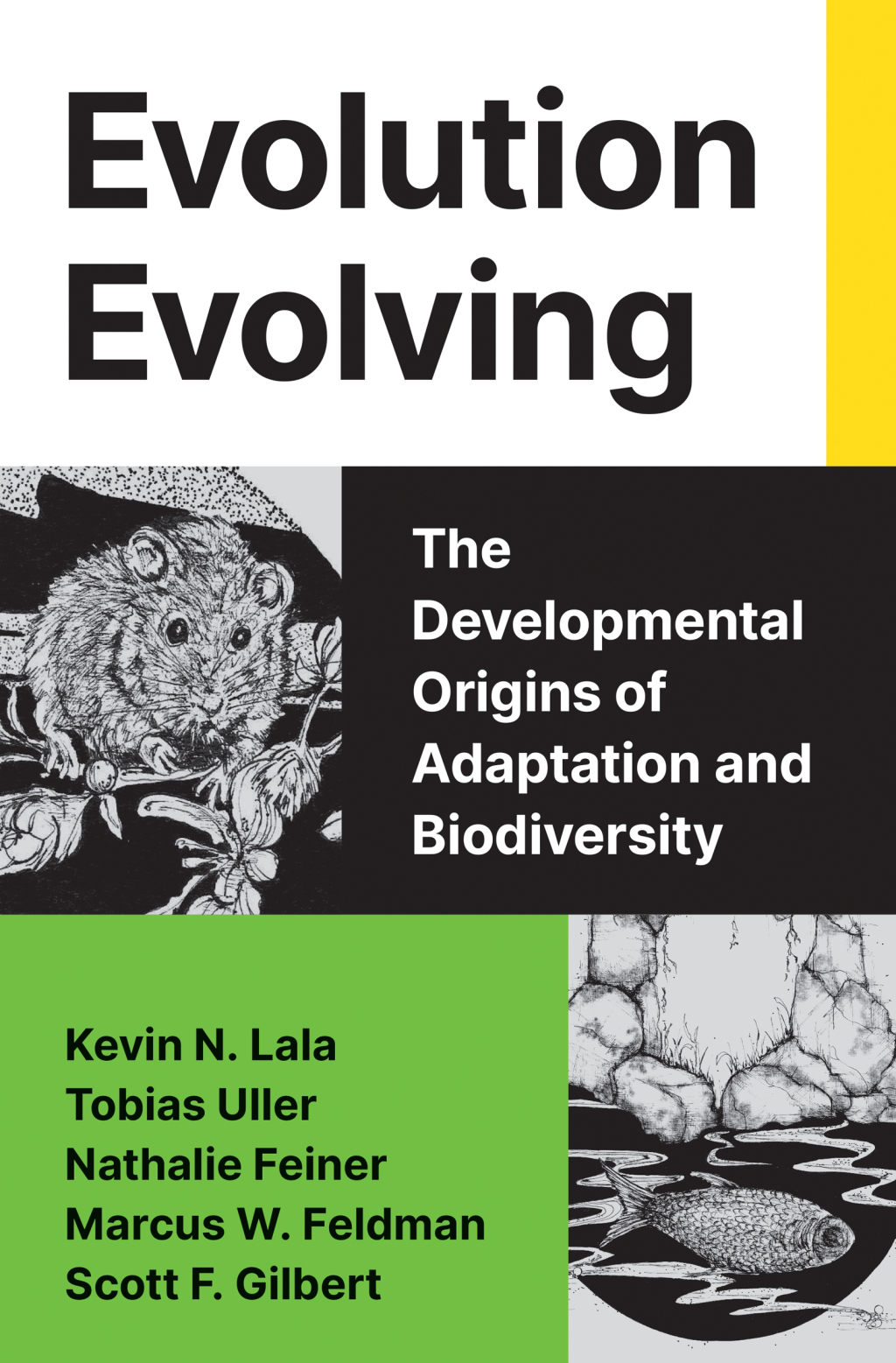 Evolution Evolving (eBook)
