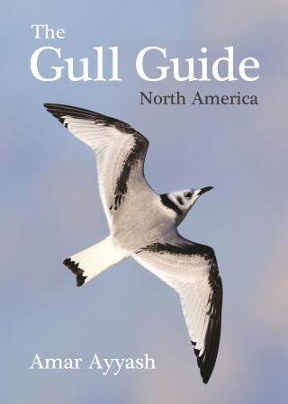 Titelbild: The Gull Guide 9780691195896