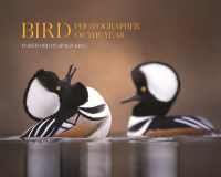 Cover image: Bird Photographer of the Year 9780691263595