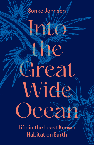 Titelbild: Into the Great Wide Ocean 9780691264684
