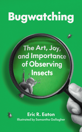 Cover image: Bugwatching 9780691264004