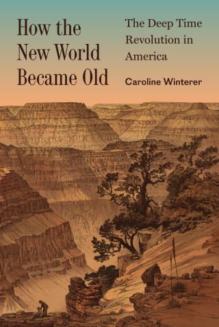 صورة الغلاف: How the New World Became Old 9780691199672