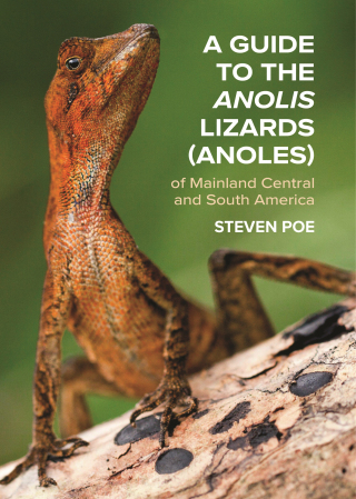 Cover image: A Guide to the Anolis Lizards (Anoles) of Mainland Central and South America 9780691192871