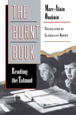 Imagen de portada: The Burnt Book 9780691059204