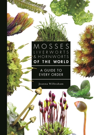 Cover image: Mosses, Liverworts, and Hornworts of the World 9780691265193