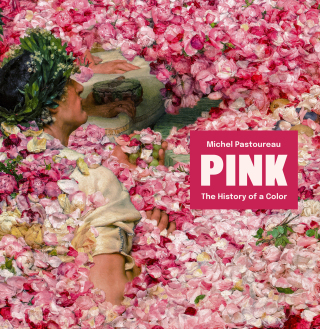Cover image: Pink 9780691266268