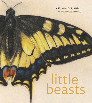 Cover image: Little Beasts 9780691271309