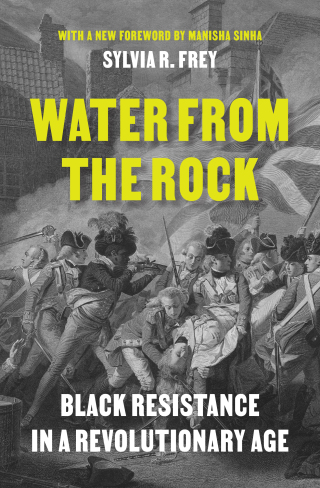 Titelbild: Water from the Rock 9780691237787