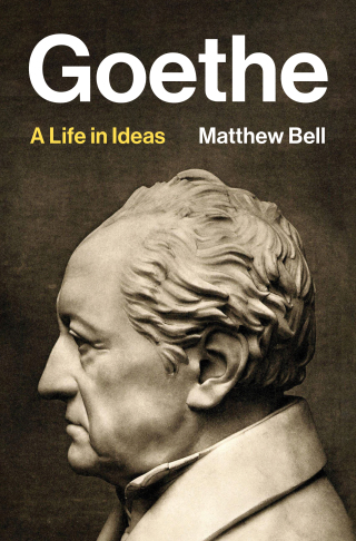 Cover image: Goethe 9780691276106