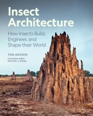 Cover image: Insect Architecture 9780691275239