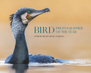 Cover image: Bird Photographer of the Year 9780691278674